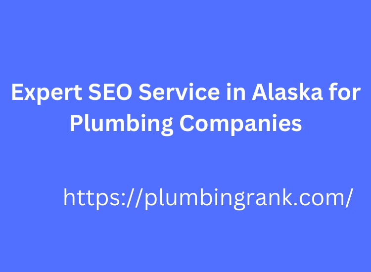 Expert SEO Service in Alaska for Plumbing Companies