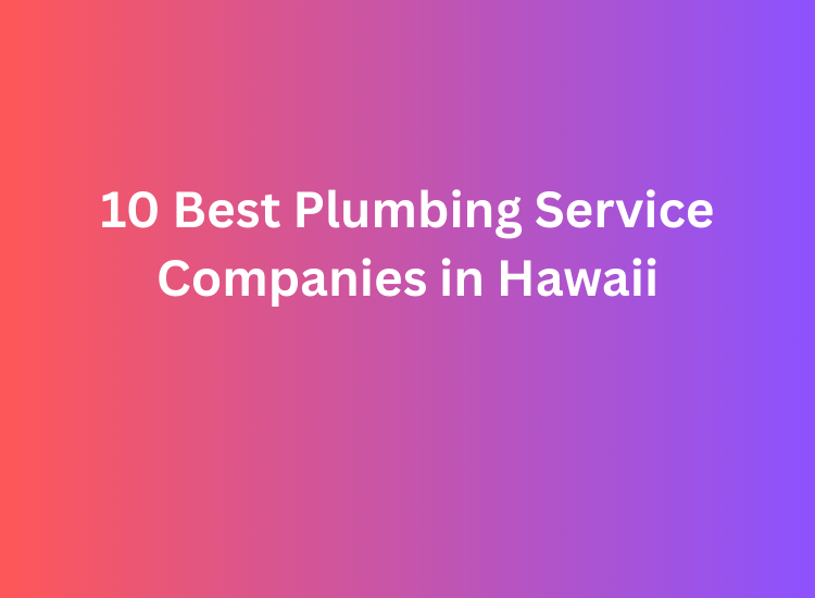 10 Best Plumbing Service Companies in Hawaii