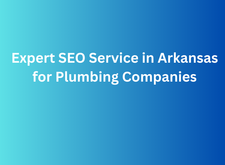 Expert SEO Service in Arkansas for Plumbing Companies