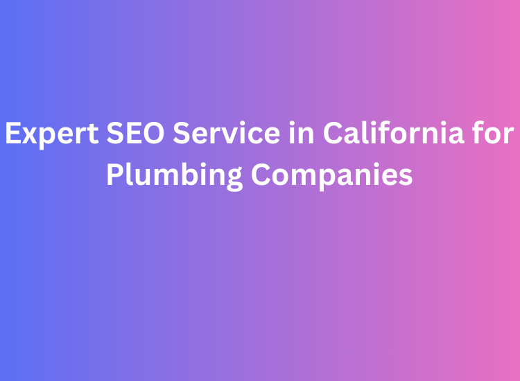 Expert SEO Service in California for Plumbing Companies