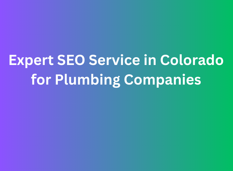 Expert SEO Service in Colorado for Plumbing Companies