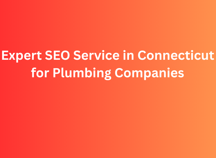 Expert SEO Service in Connecticut for Plumbing Companies