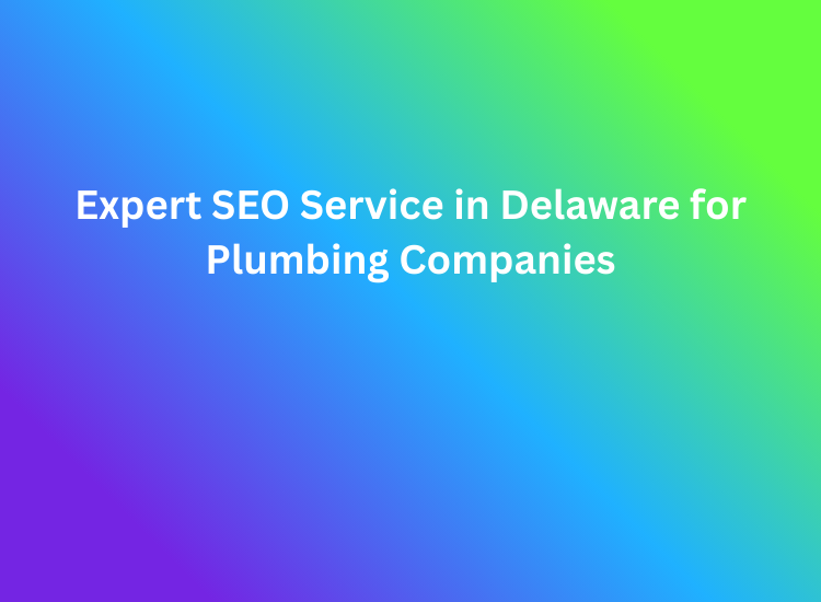 Expert SEO Service in Delaware for Plumbing Companies