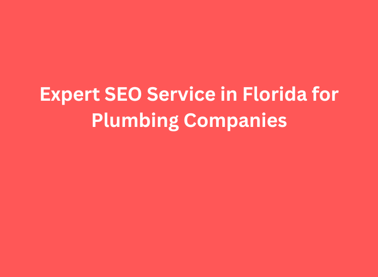 Expert SEO Service in Florida for Plumbing Companies