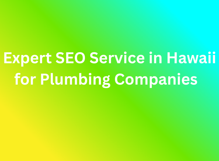 Expert SEO Service in Hawaii for Plumbing Companies