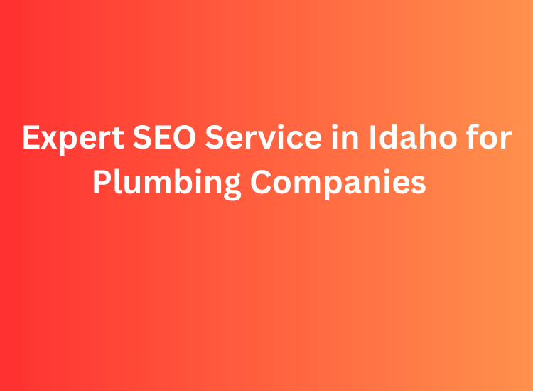 Expert SEO Service in Idaho for Plumbing Companies