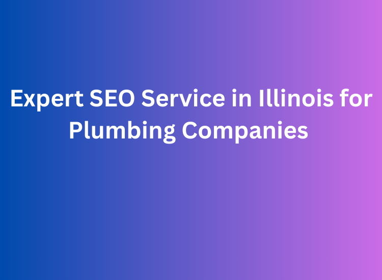 Expert SEO Service in Illinois for Plumbing Companies
