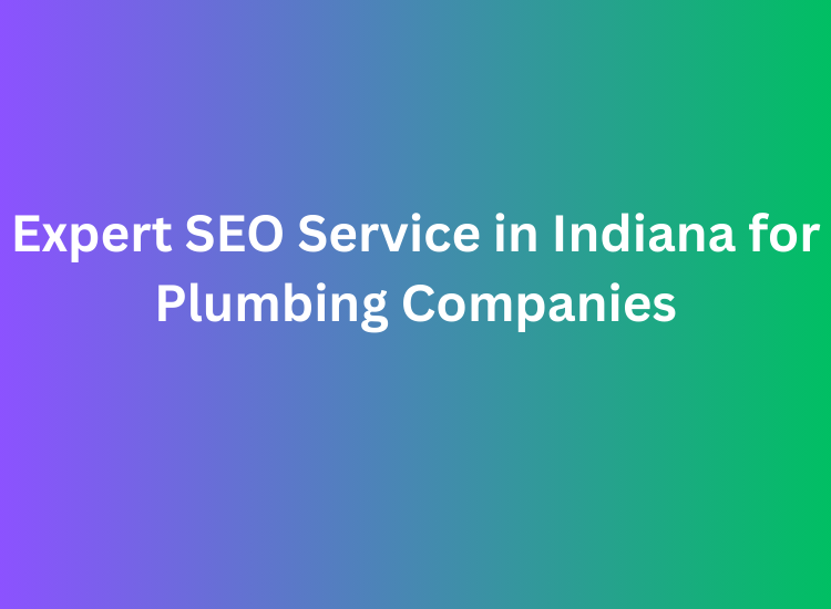Expert SEO Service in Indiana for Plumbing Companies