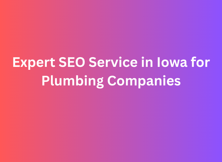 Expert SEO Service in Iowa for Plumbing Companies