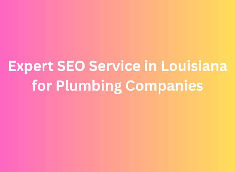 Expert SEO Service in Louisiana for Plumbing Companies
