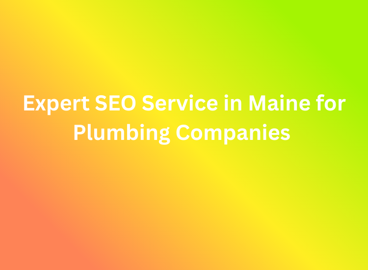Expert SEO Service in Maine for Plumbing Companies