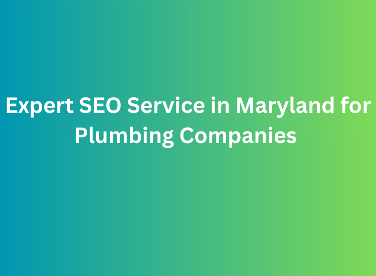 Expert SEO Service in Maryland for Plumbing Companies