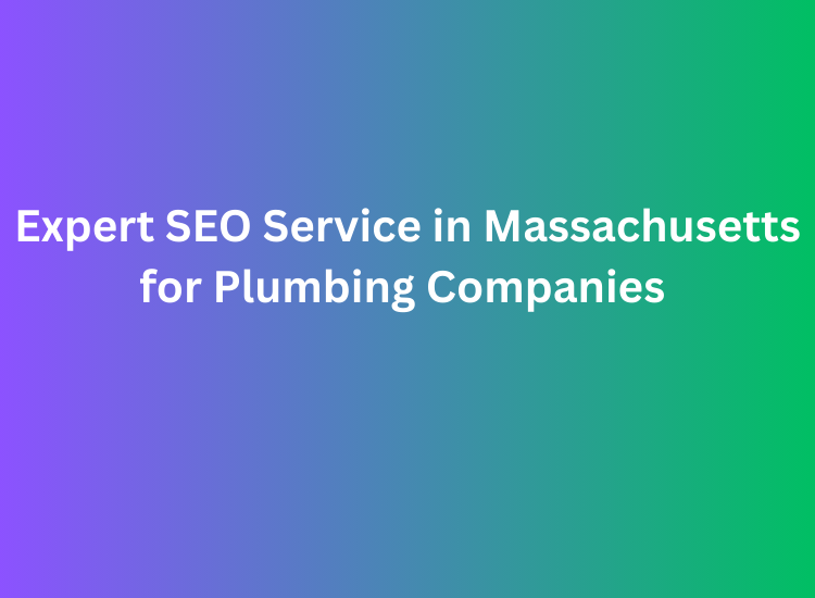 Expert SEO Service in Massachusetts for Plumbing Companies