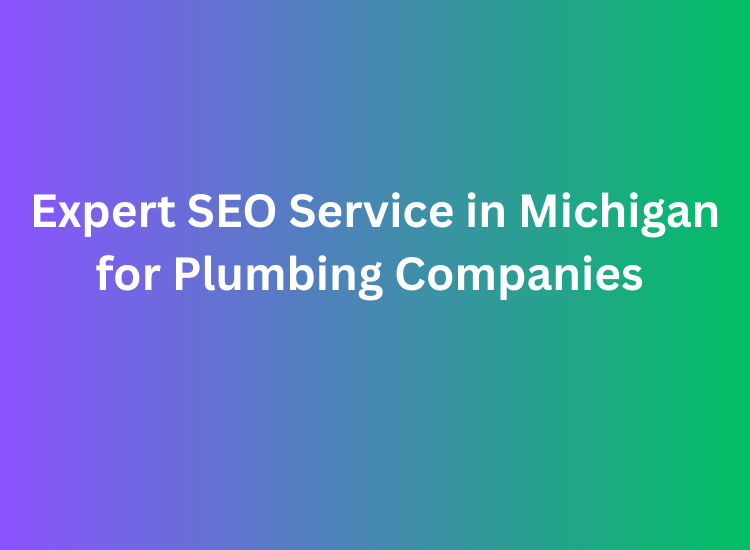 Expert SEO Service in Michigan for Plumbing Companies