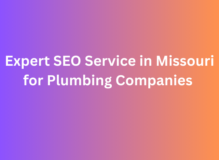 Expert SEO Service in Missouri for Plumbing Companies