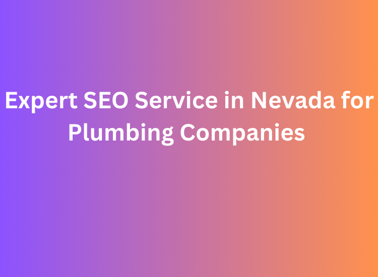 Expert SEO Service in Nevada for Plumbing Companies