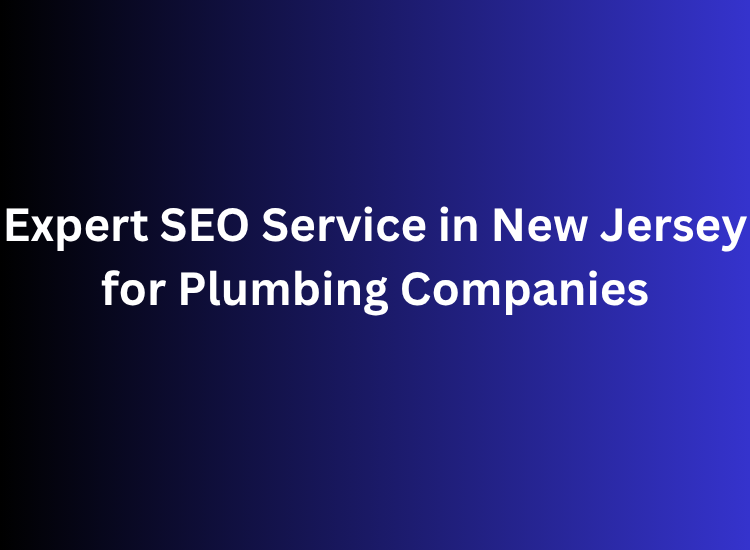 Expert SEO Service in New Jersey for Plumbing Companies
