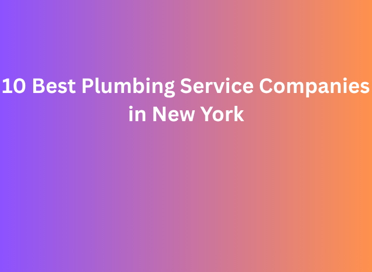 10 Best Plumbing Service Companies in New York