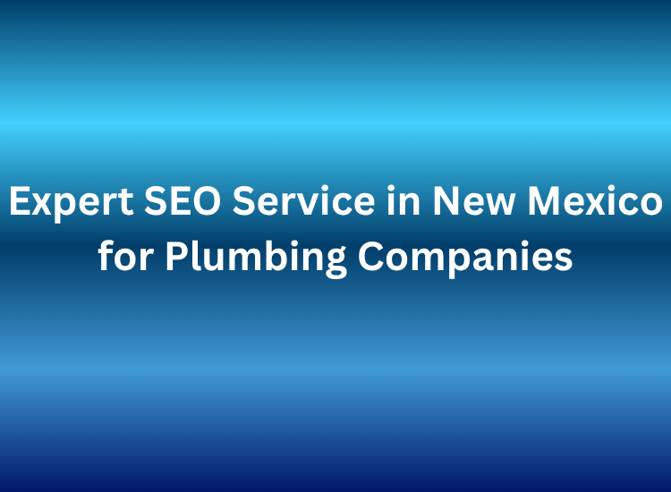 Expert SEO Service in New Mexico for Plumbing Companies