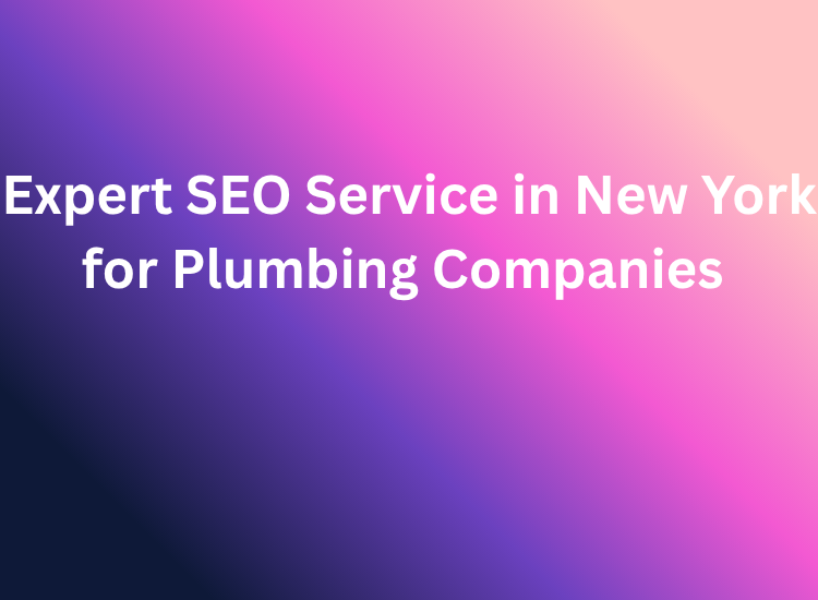 Expert SEO Service in New York for Plumbing Companies