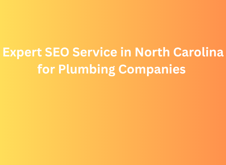 Expert SEO Service in North Carolina for Plumbing Companies