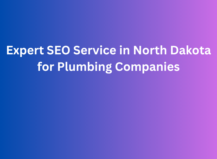 Expert SEO Service in North Dakota for Plumbing Companies