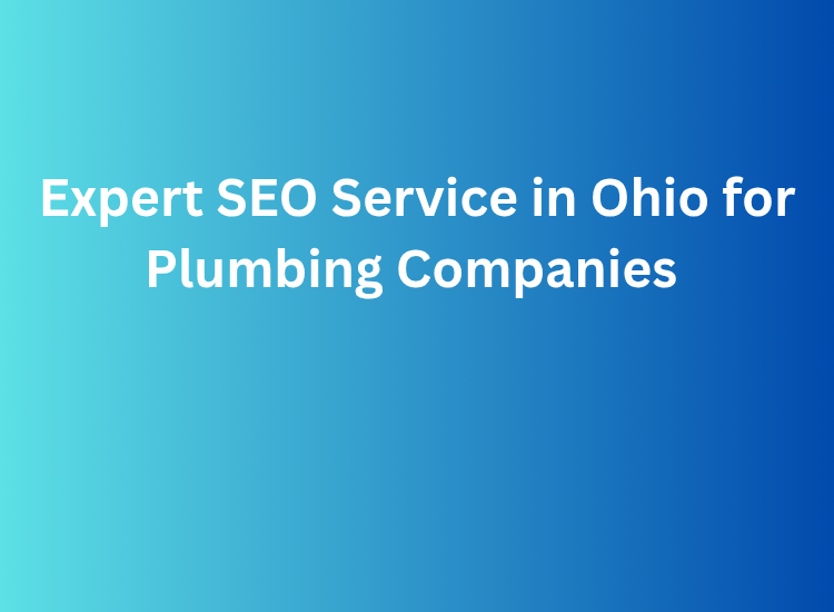 Expert SEO Service in Ohio for Plumbing Companies