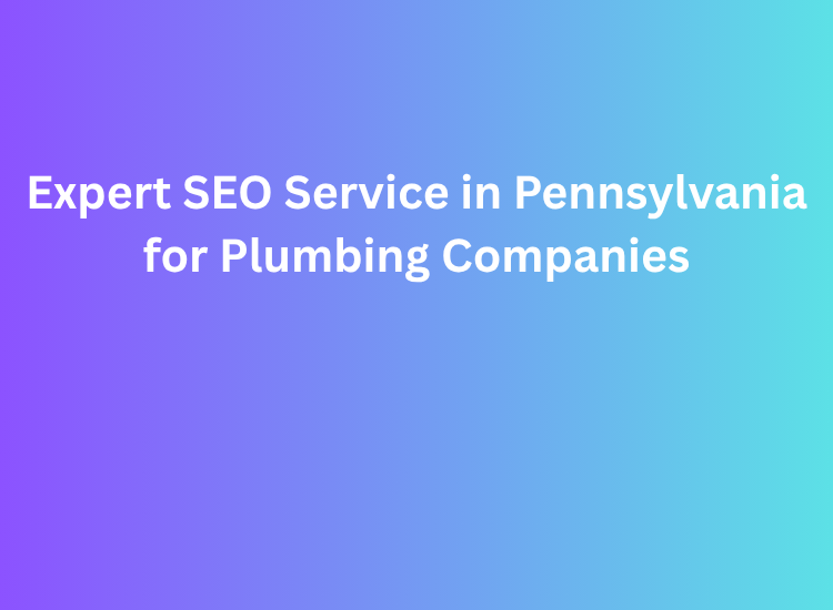 Expert SEO Service in Pennsylvania for Plumbing Companies