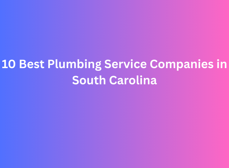 10 Best Plumbing Service Companies in South Carolina