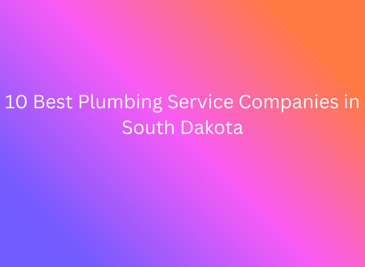 10 Best Plumbing Service Companies in South Dakota