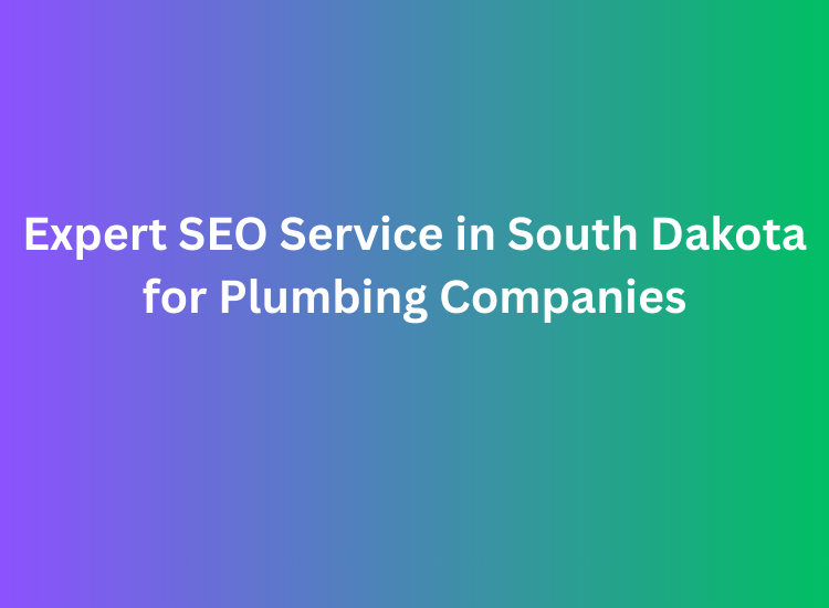 Expert SEO Service in South Dakota for Plumbing Companies