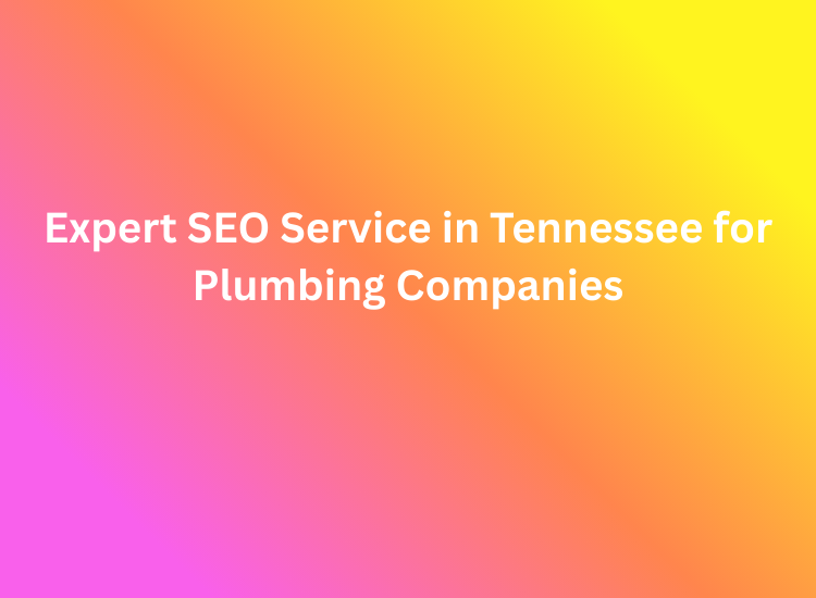 Expert SEO Service in Tennessee for Plumbing Companies