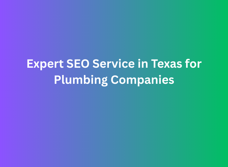 Expert SEO Service in Texas for Plumbing Companies