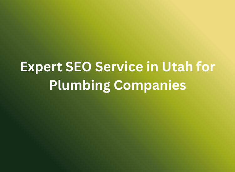 Expert SEO Service in Utah for Plumbing Companies