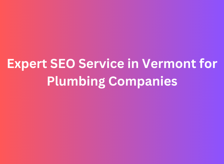 Expert SEO Service in Vermont for Plumbing Companies