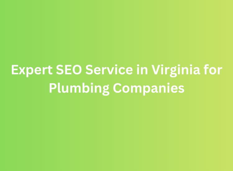 Expert SEO Service in Virginia for Plumbing Companies