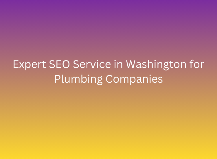 Expert SEO Service in Washington for Plumbing Companies