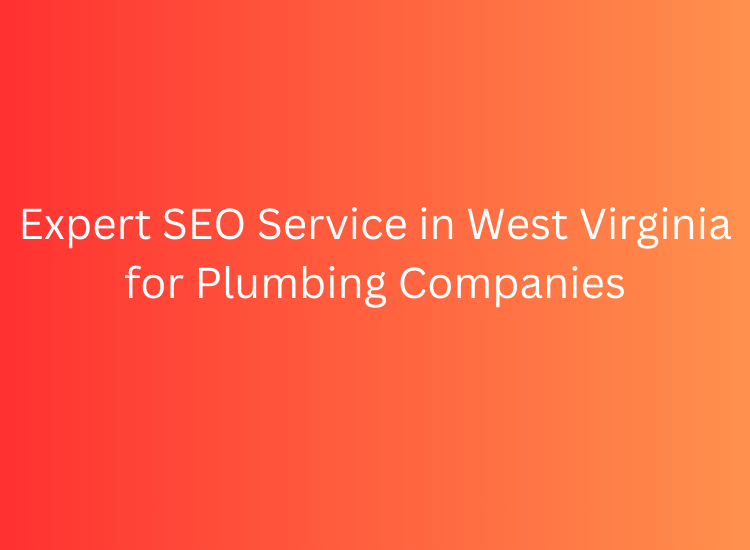 Expert SEO Service in West Virginia for Plumbing Companies