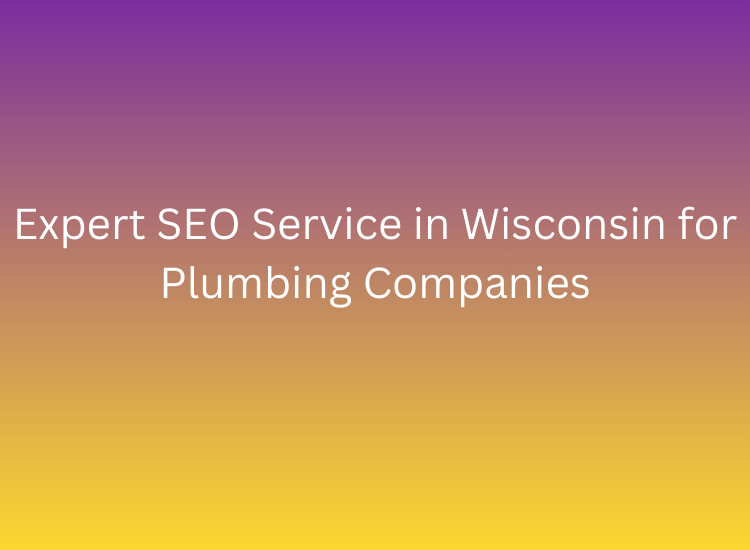 Expert SEO Service in Wisconsin for Plumbing Companies