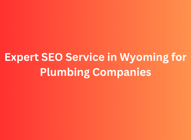 Expert SEO Service in Wyoming for Plumbing Companies